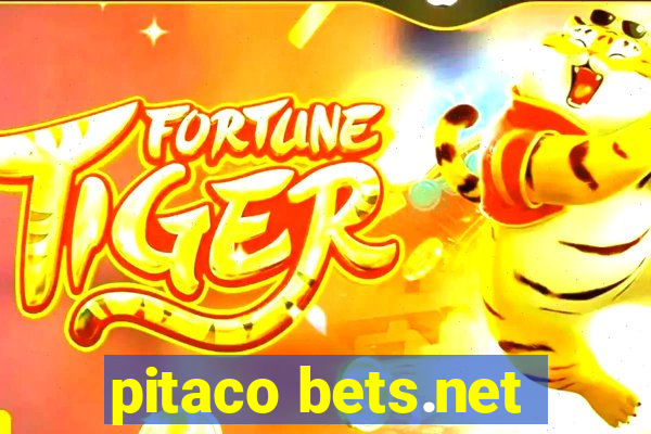 pitaco bets.net